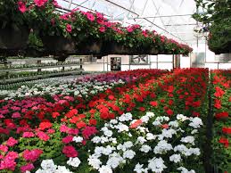Floriculture