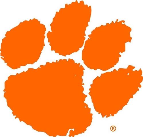 Go Tigers! 