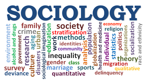 sociology 