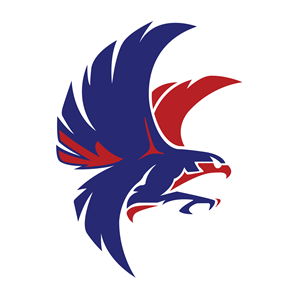 drawing of red and blue falcon