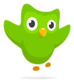 duolingo 