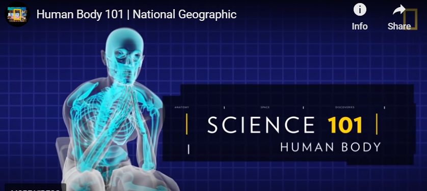 Video: Human Body (National Geographic)