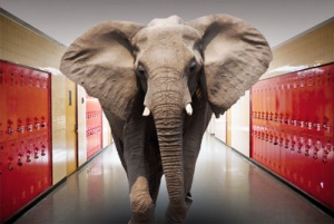 Ellie in Hall