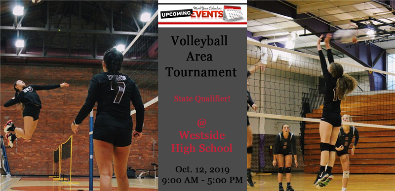 Volleyball Area Tournament 